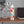 Colorful Fall Foliage Slim Water Bottle - Stainless Steel - Dipaliz - Bottles