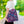 Colorful Indian Pattern Aop Tote Bag - Madhubani - Dipaliz - Bags