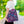 Colorful Indian Pattern Aop Tote Bag - Madhubani - Dipaliz - Bags