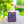 Colorful Indian Pattern Aop Tote Bag - Madhubani - Dipaliz - Bags