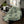 Cute Dinosaur Soft Polyester Blanket Fleece - Dipaliz - Blankets