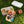 Cute Dogs Bento Box - Pla Eco-friendly Lunch Set - Dipaliz - Sets