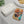 Cute Dogs Bento Box - Pla Eco-friendly Lunch Set - Dipaliz - Sets