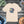 Soft Monster Short Sleeve Tee - Airlume Cotton - Dipaliz - T-shirts