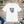 Cute Monster Unisex Jersey Short Sleeve Tee Cotton - Dipaliz - T-shirts