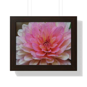 Dahlia Closeup Flower Framed Horizontal Poster - 14″ x 11″ / Walnut - Posters Prints & Visual Artwork