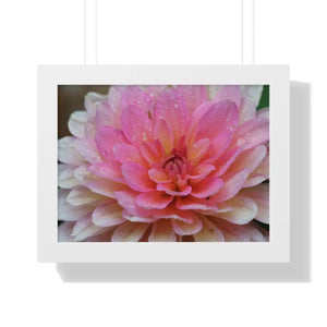 Dahlia Closeup Flower Framed Horizontal Poster - 16″ x 12″ / White - Posters Prints & Visual Artwork