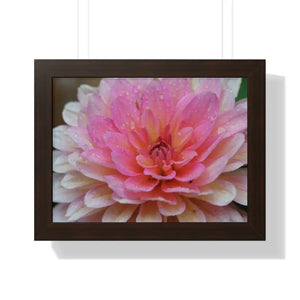 Dahlia Closeup Flower Framed Horizontal Poster - 16″ x 12″ / Walnut - Posters Prints & Visual Artwork