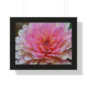 Dahlia Closeup Flower Framed Horizontal Poster - 16″ x 12″ / Black - Posters Prints & Visual Artwork