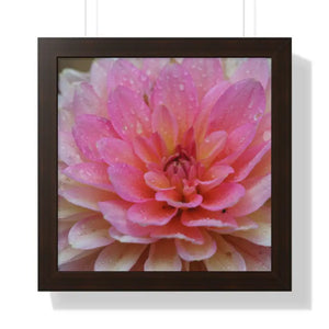 Dahlia Closeup Flower Framed Horizontal Poster - 16″ x / Walnut - Posters Prints & Visual Artwork