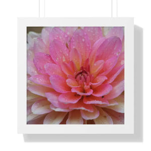 Dahlia Closeup Flower Framed Horizontal Poster - 16″ x / White - Posters Prints & Visual Artwork