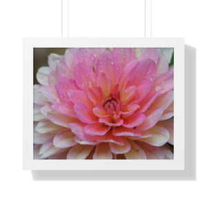 Dahlia Closeup Flower Framed Horizontal Poster - 20’’ x 16’’ / White - Posters Prints & Visual Artwork