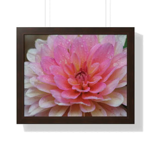 Dahlia Closeup Flower Framed Horizontal Poster - 20’’ x 16’’ / Walnut - Posters Prints & Visual Artwork