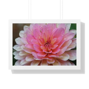 Dahlia Closeup Flower Framed Horizontal Poster - 24″ x 16″ / White - Posters Prints & Visual Artwork