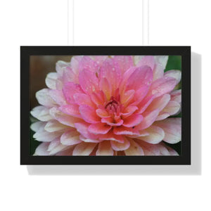 Dahlia Closeup Flower Framed Horizontal Poster - 24″ x 16″ / Black - Posters Prints & Visual Artwork