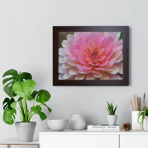 Dahlia Closeup Flower Framed Horizontal Poster - Posters Prints & Visual Artwork