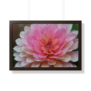 Dahlia Closeup Flower Framed Horizontal Poster - 30’’ x 20’’ / Walnut - Posters Prints & Visual Artwork