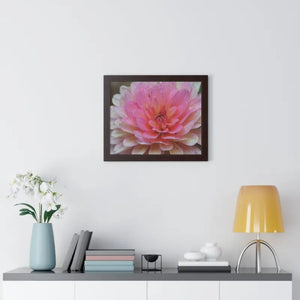 Dahlia Closeup Flower Framed Horizontal Poster - Posters Prints & Visual Artwork