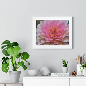 Dahlia Closeup Flower Framed Horizontal Poster - Posters Prints & Visual Artwork