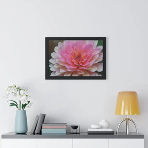 Dahlia Closeup Flower Framed Horizontal Poster - Posters Prints & Visual Artwork