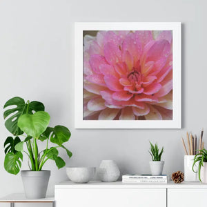 Dahlia Closeup Flower Framed Horizontal Poster - Posters Prints & Visual Artwork