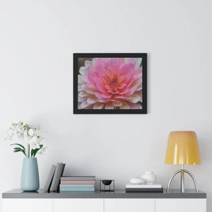 Dahlia Closeup Flower Framed Horizontal Poster - Posters Prints & Visual Artwork