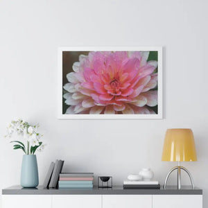 Dahlia Closeup Flower Framed Horizontal Poster - Posters Prints & Visual Artwork