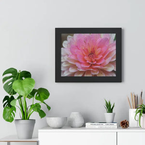 Dahlia Closeup Flower Framed Horizontal Poster - Posters Prints & Visual Artwork