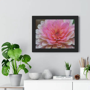 Dahlia Closeup Flower Framed Horizontal Poster - Posters Prints & Visual Artwork