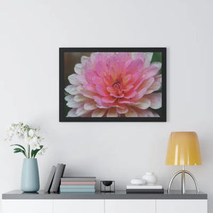 Dahlia Closeup Flower Framed Horizontal Poster - Posters Prints & Visual Artwork