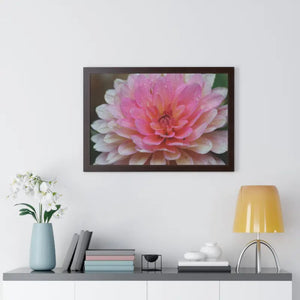 Dahlia Closeup Flower Framed Horizontal Poster - Posters Prints & Visual Artwork