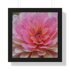 Dahlia Closeup Flower Framed Horizontal Poster - Posters Prints & Visual Artwork