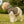 Cozy Dog Animal Print Hoodie - Polyester Pet Apparel - Dipaliz - Hoodies
