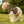 Stylish Dog Hoodie - Print Pattern Polyester - Dipaliz - Pet Hoodies