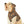 Stylish Dog Hoodie - Print Pattern Polyester - Dipaliz - Pet Hoodies
