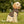 Stylish Dog Hoodie - Print Pattern Polyester - Dipaliz - Pet Hoodies
