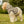 Trendy Dog Print Hoodie - Durable Polyester - Dipaliz - Pet Hoodies