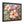 Vibrant Frangipani Flowers Matte Canvas - Eco-friendly Gifts - Dipaliz - Posters Prints & Visual Artwork