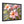 Vibrant Frangipani Flowers Matte Canvas - Eco-friendly Gifts - Dipaliz - Posters Prints & Visual Artwork
