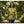 Tropical Botanical Women’s Long Sleeve V-neck Shirt (aop) - T-shirts