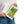 Green Foliage Cosmetic Bag - Gold Color Zipper - Dipaliz - & Toiletry Bags