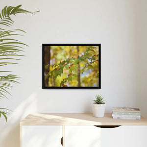 Bold Honeysuckle Berries Matte Canvas - Black Frame - Dipaliz - Posters Prints & Visual Artwork