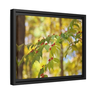 Bold Honeysuckle Berries Matte Canvas - Black Frame - Dipaliz - Posters Prints & Visual Artwork