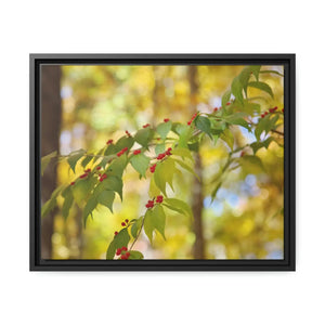 Bold Honeysuckle Berries Matte Canvas - Black Frame - Dipaliz - Posters Prints & Visual Artwork