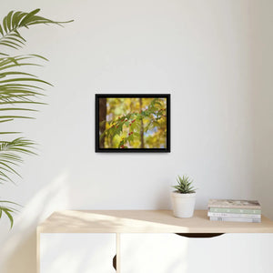 Bold Honeysuckle Berries Matte Canvas - Black Frame - Dipaliz - Posters Prints & Visual Artwork