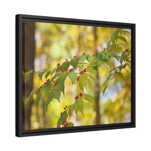Bold Honeysuckle Berries Matte Canvas - Black Frame - Dipaliz - Posters Prints & Visual Artwork