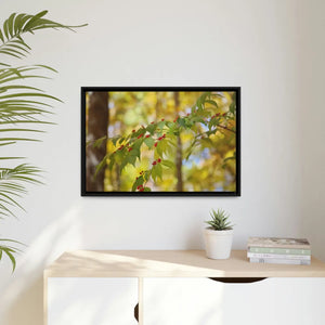 Bold Honeysuckle Berries Matte Canvas - Black Frame - Dipaliz - Posters Prints & Visual Artwork