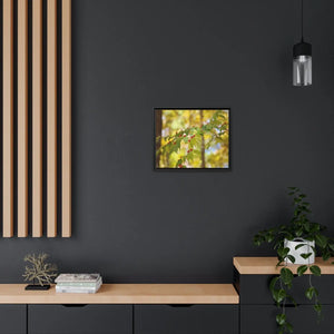 Bold Honeysuckle Berries Matte Canvas - Black Frame - Dipaliz - Posters Prints & Visual Artwork