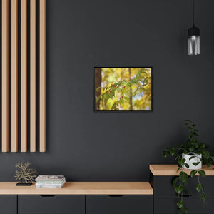 Bold Honeysuckle Berries Matte Canvas - Black Frame - Dipaliz - Posters Prints & Visual Artwork