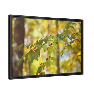 Bold Honeysuckle Berries Matte Canvas - Black Frame - Dipaliz - Posters Prints & Visual Artwork